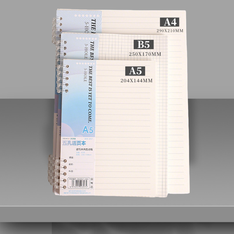 A4、B5、A5サイズのルーズリーフノート用リフィル。60枚 - A5 Spiral Dotted Grid Notebook のレビューと価格